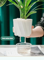 Indoor Hydroponic Flower Pot