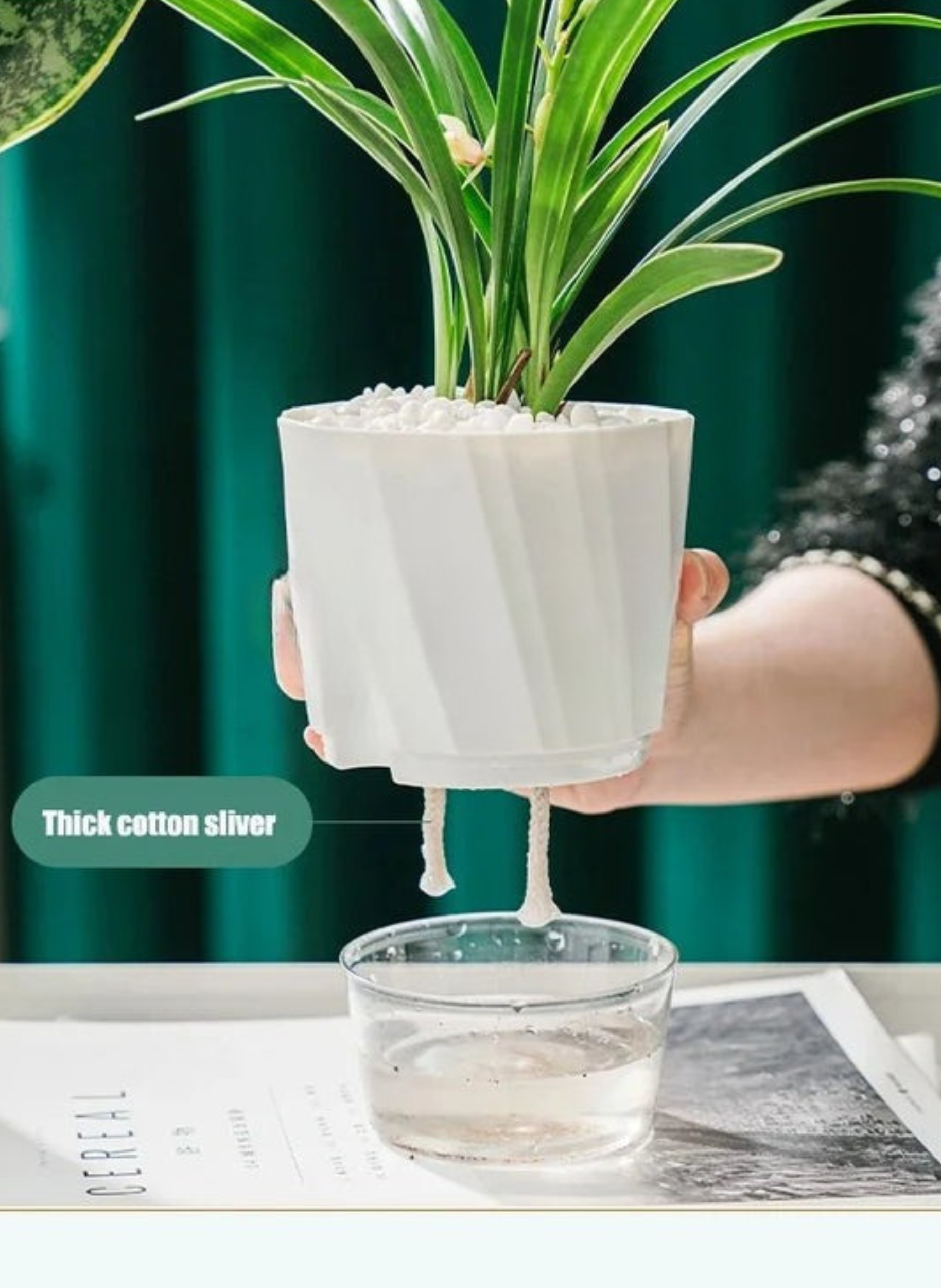 Indoor Hydroponic Flower Pot