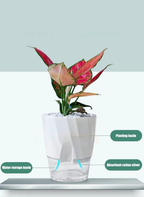 Indoor Hydroponic Flower Pot