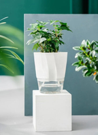 Indoor Hydroponic Flower Pot