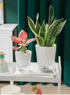 Indoor Hydroponic Flower Pot