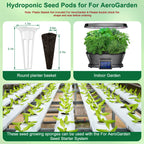 Hydroponic Seed Starter Kit