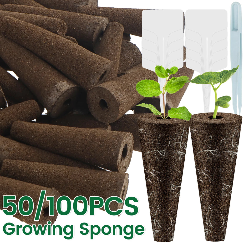 Hydroponic Seed Starter Kit
