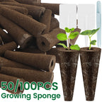 Hydroponic Seed Starter Kit