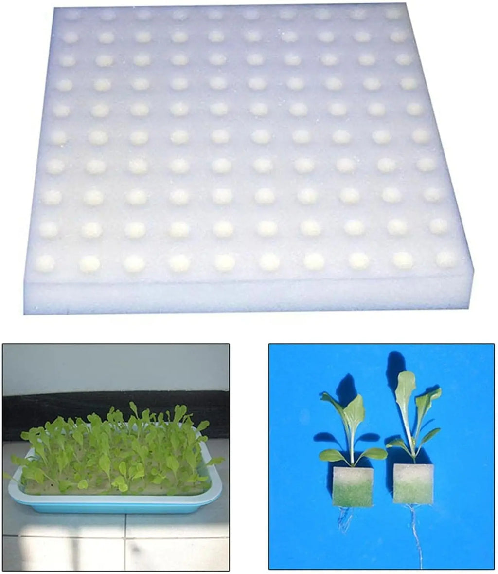 Hydroponic Grow Sponges Blocks