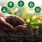 Hydroponic Seed Starter Kit