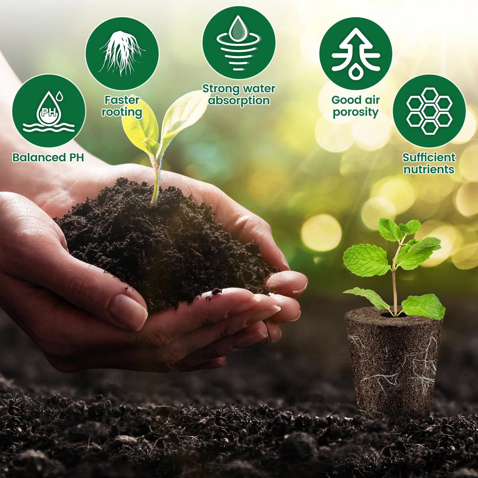 Hydroponic Seed Starter Kit