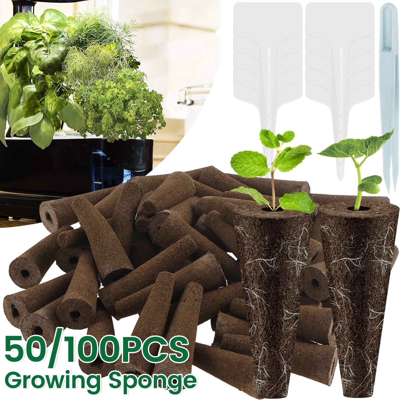 Hydroponic Seed Starter Kit