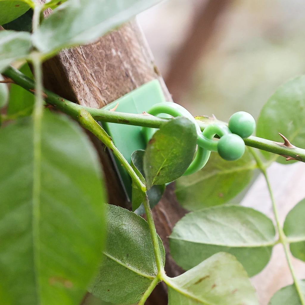 Plant Vine Support Clips