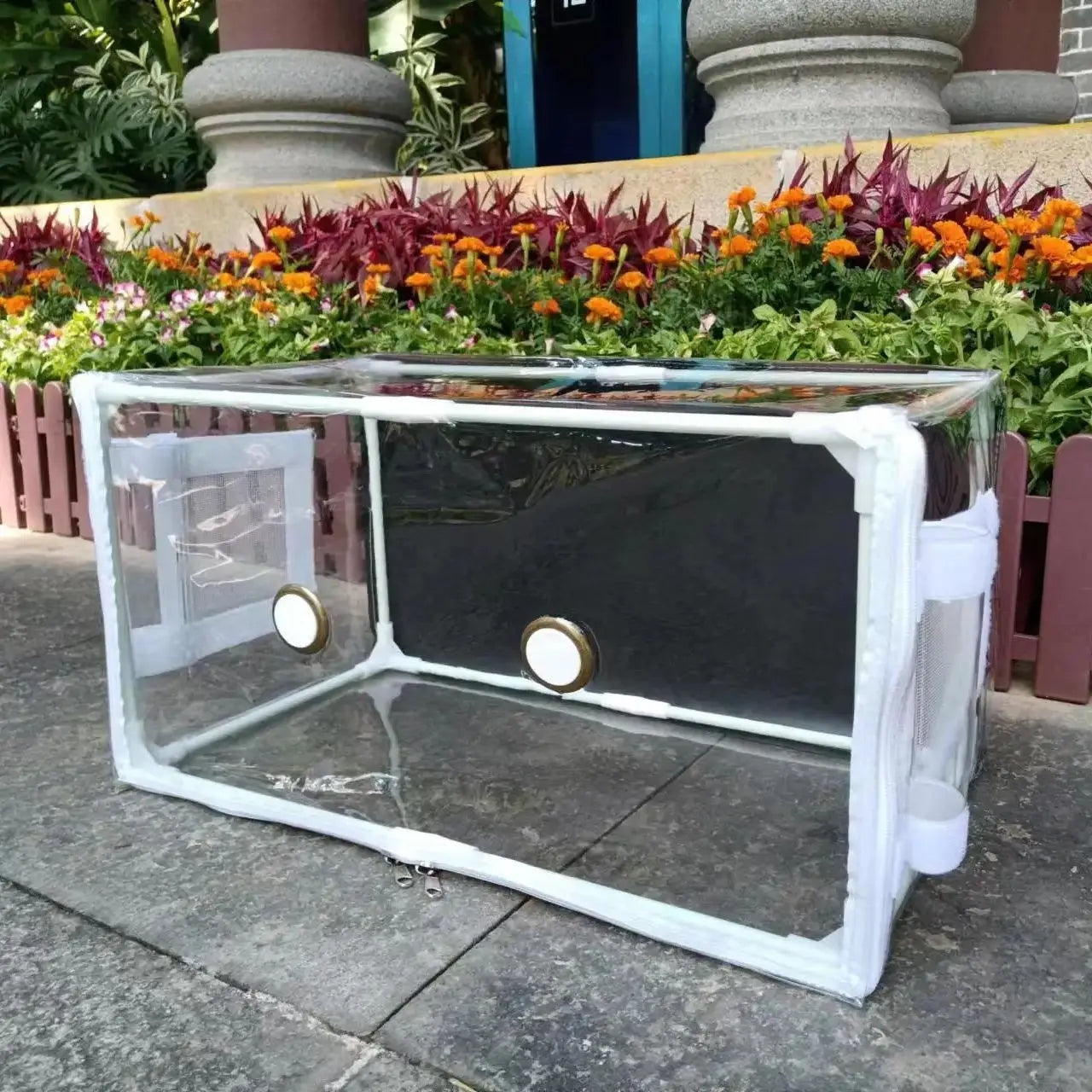 Mushroom Growing Greenhouse Shed