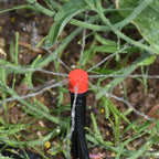 DIY Automatic Drip Irrigation Watering Kit
