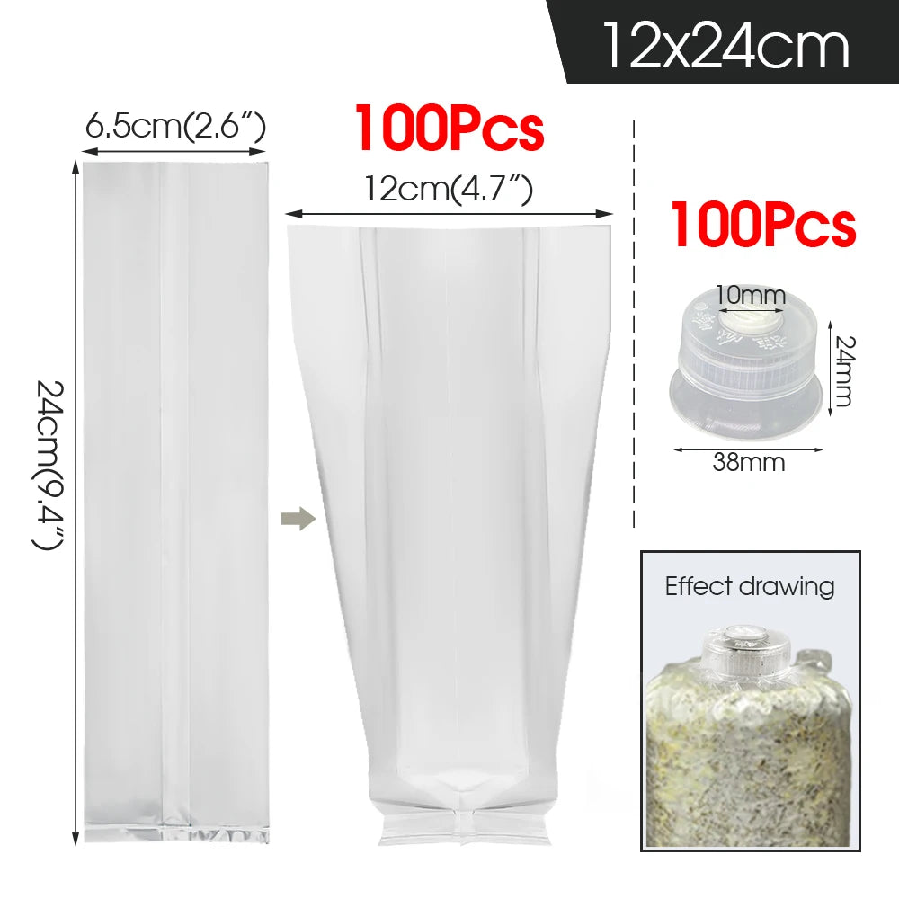 Mushroom Spawn Grow Kit