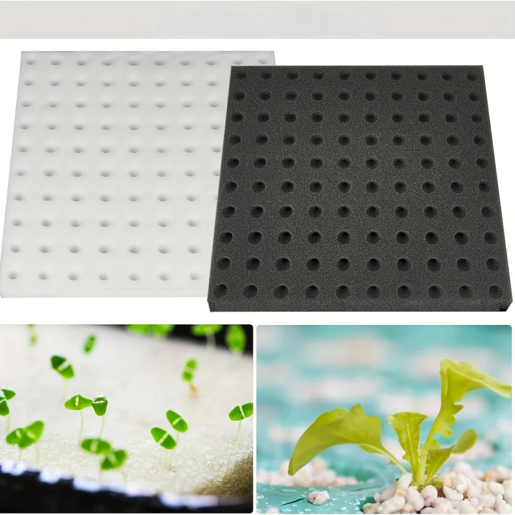 Hydroponic Grow Sponges Blocks
