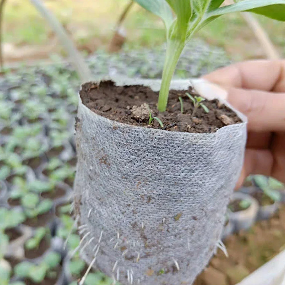 Biodegradable Nursery Grow Bags