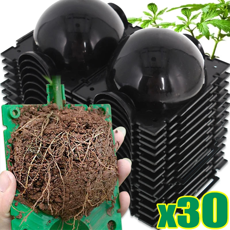 Plant Rooting Grow Balls