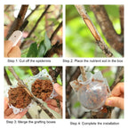 Plant Rooting Grow Balls