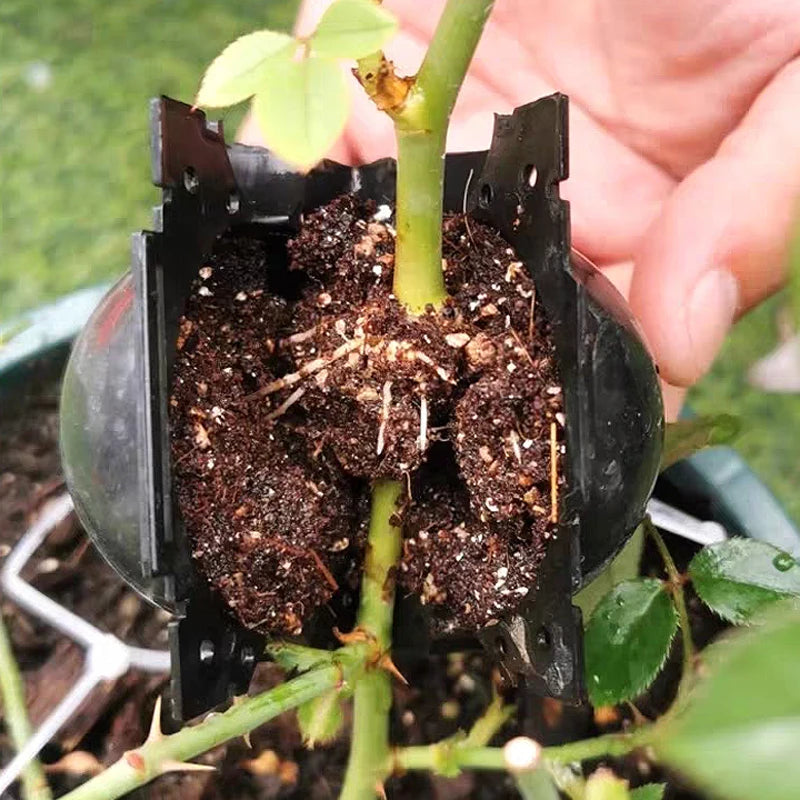 Plant Rooting Grow Balls