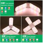 LED Seedling Grow Light
