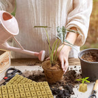 Indoor Hydroponic Planter Kit