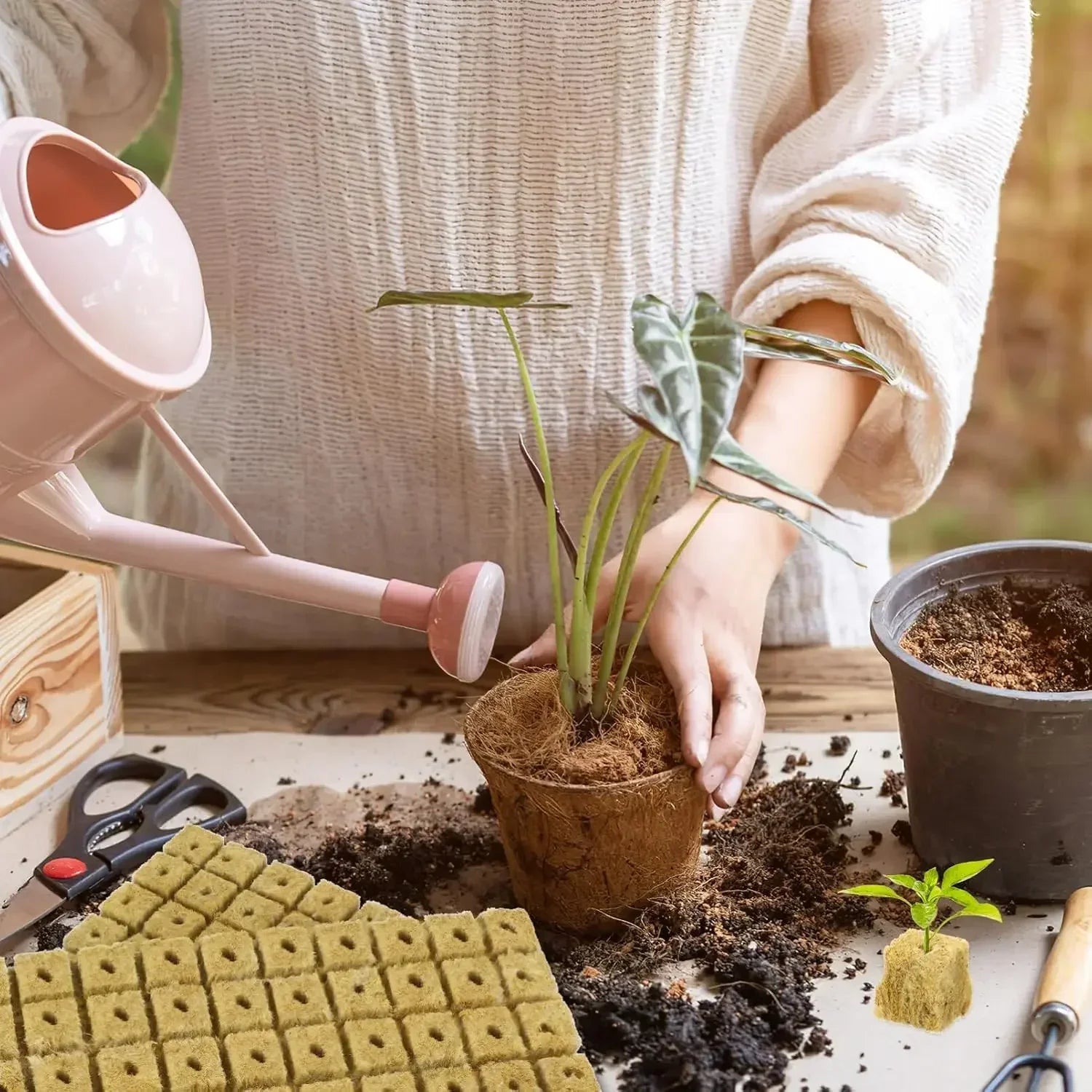 Indoor Hydroponic Planter Kit