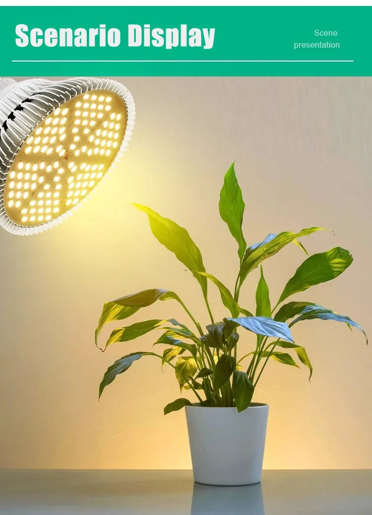 E27 Full Spectrum Grow Light