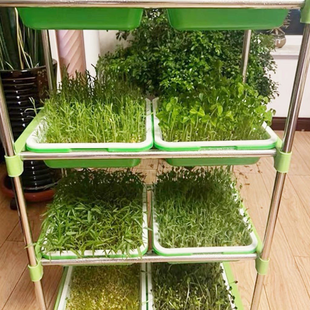 Microgreens Sprouting Tray Set