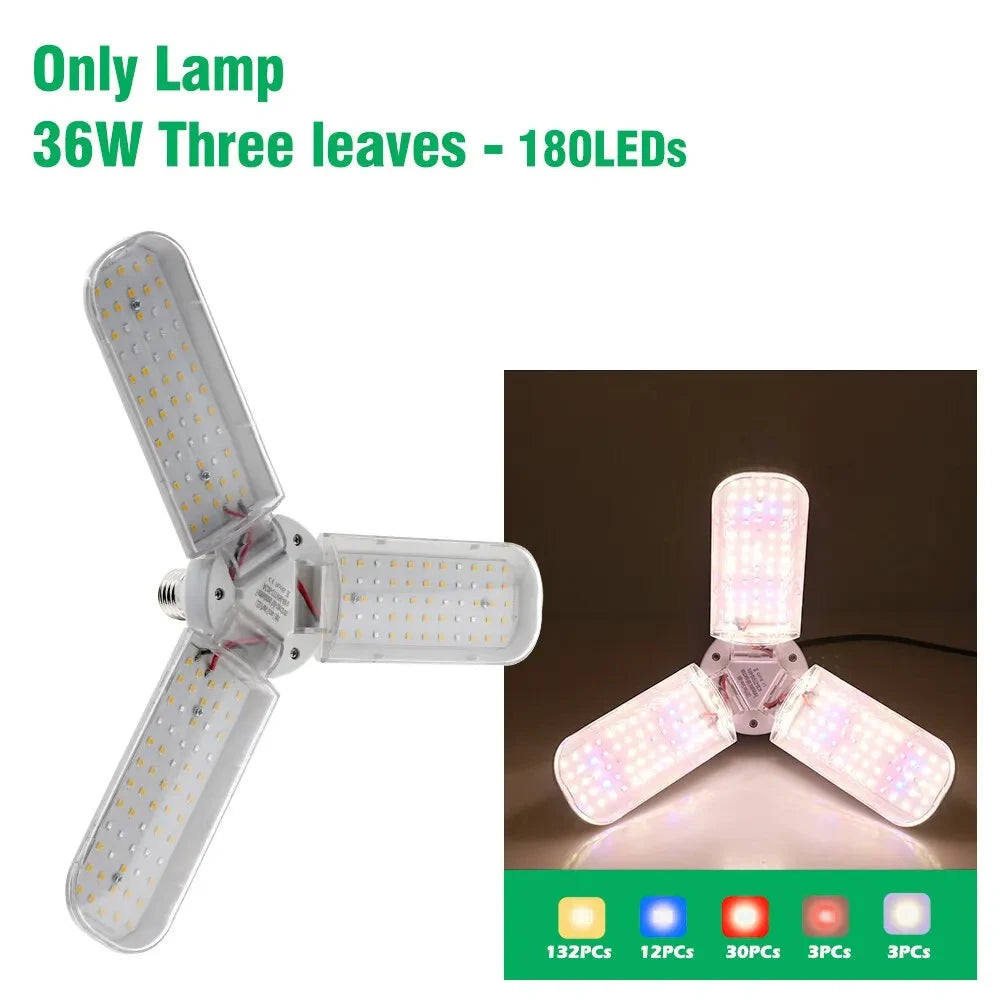 LED Seedling Grow Light