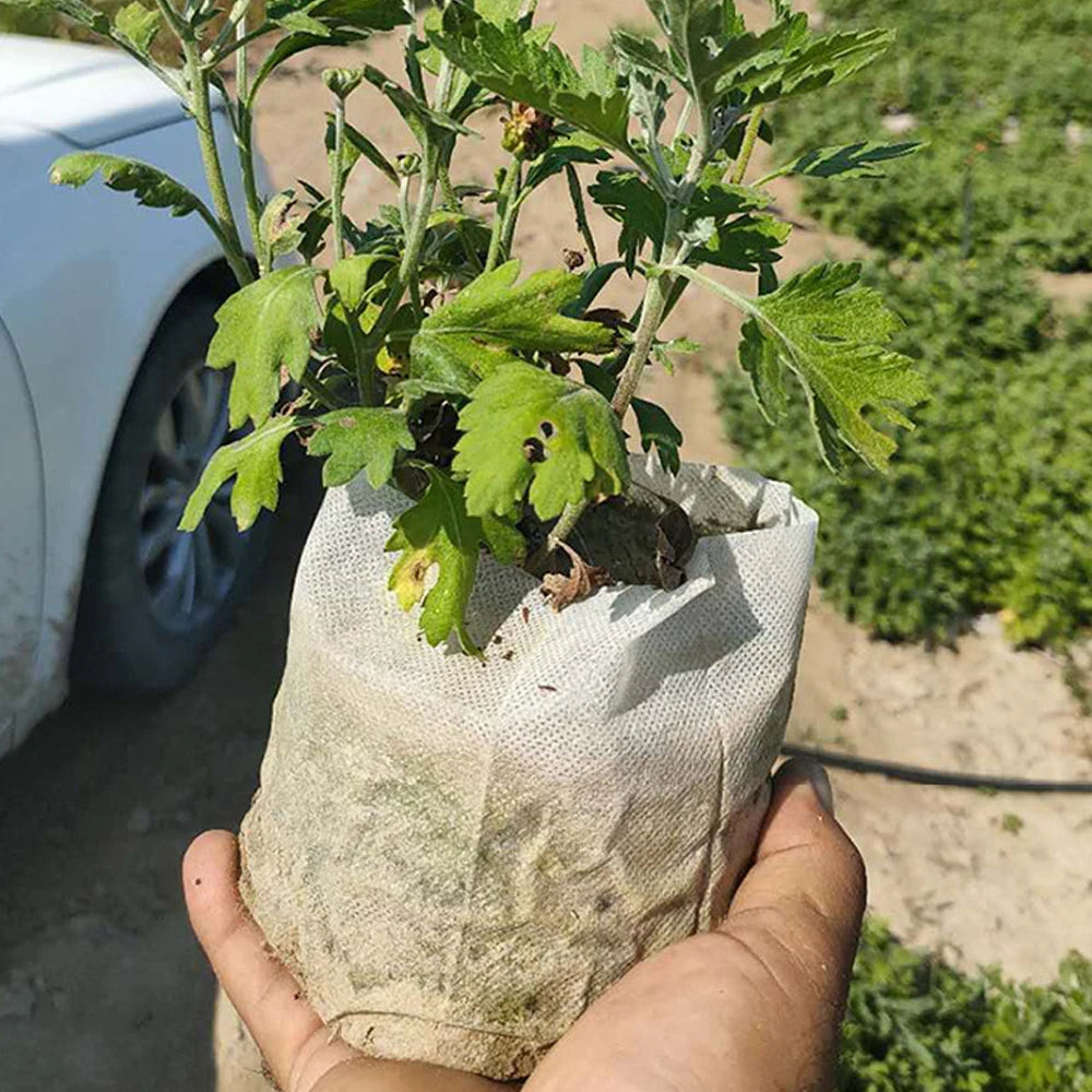 Biodegradable Nursery Grow Bags