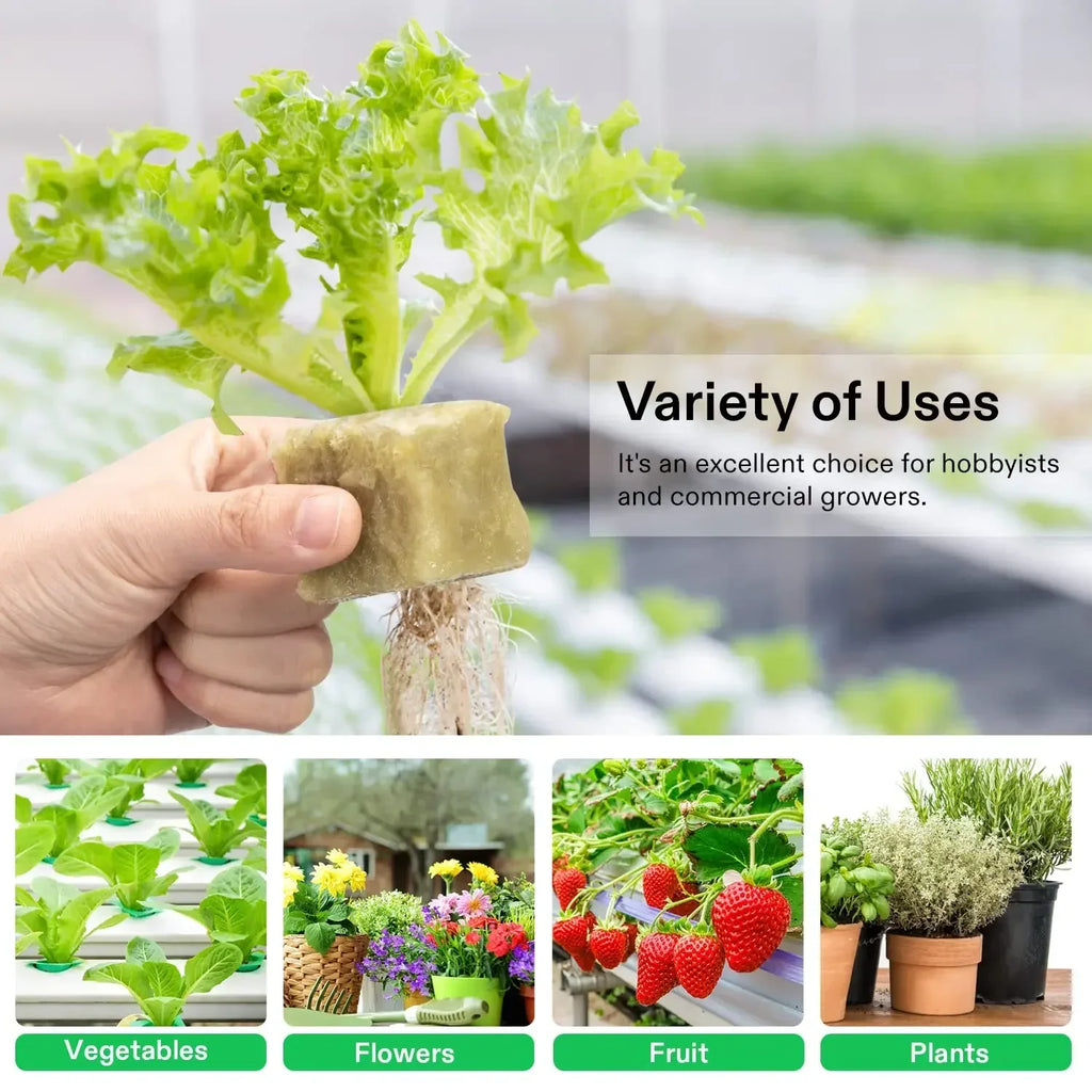 Indoor Hydroponic Planter Kit