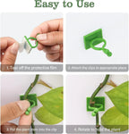 Plant Vine Support Clips