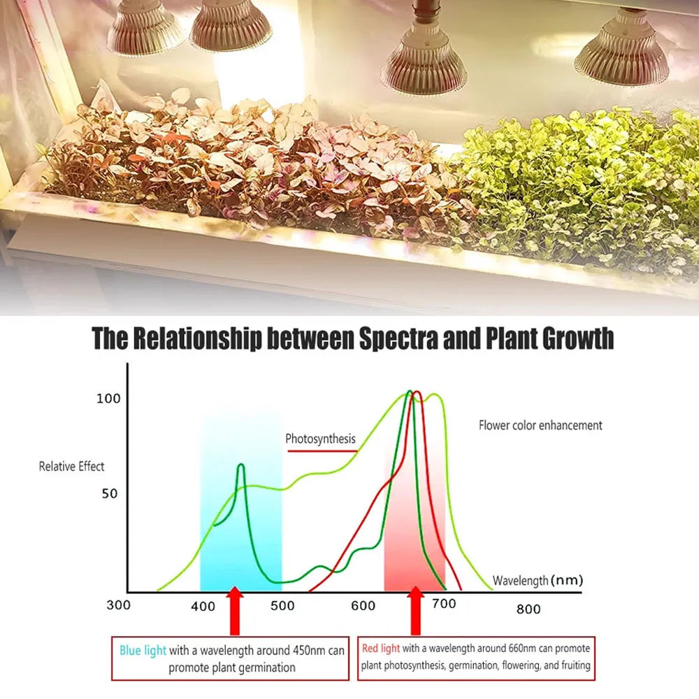 E27 Full Spectrum Grow Light