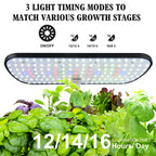 Indoor Hydroponic Garden Kit