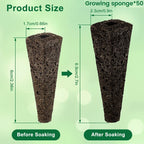 Hydroponic Seed Starter Kit