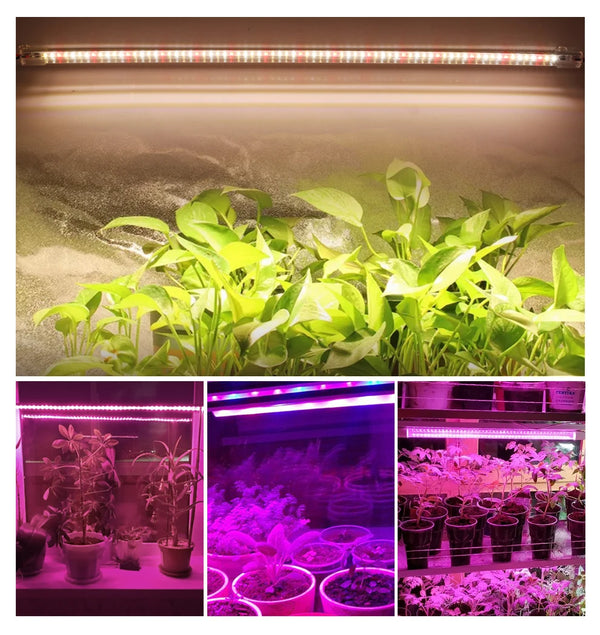 Hydroponic LED Grow Light