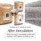 Autoclavable Mushroom Grow Bags