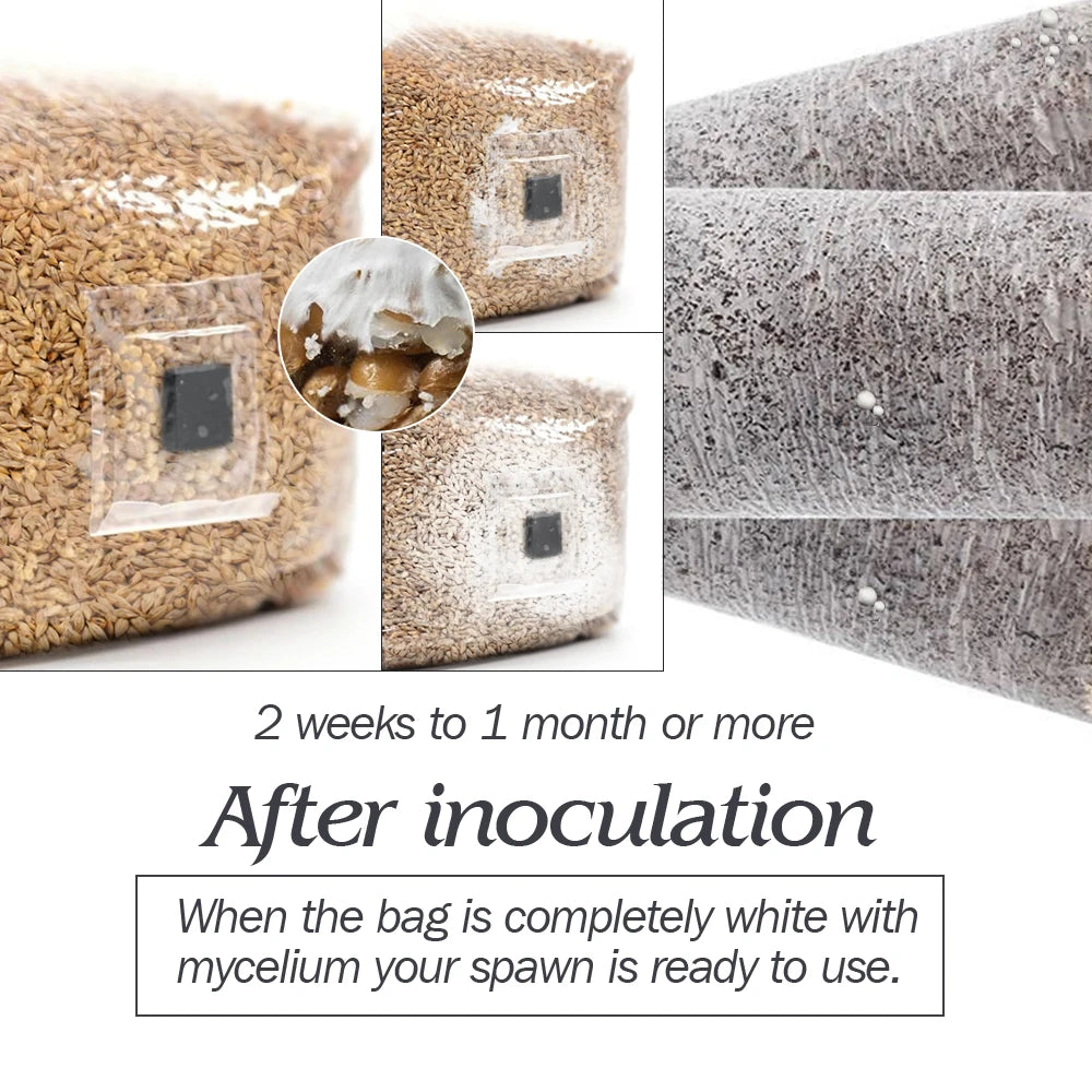 Autoclavable Mushroom Grow Bags