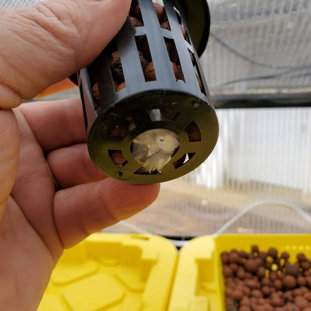 Hydroponic Net Cups Pack