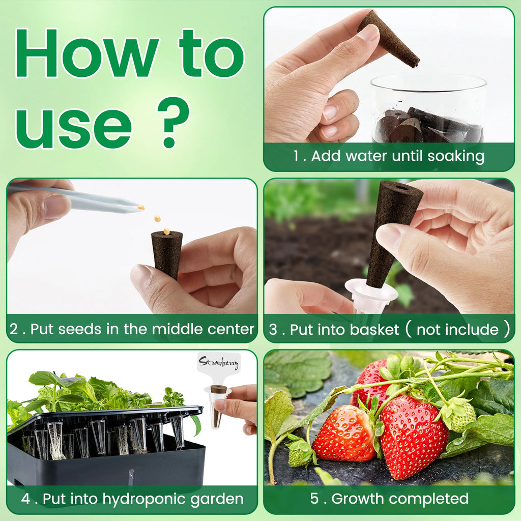 Hydroponic Seed Starter Kit