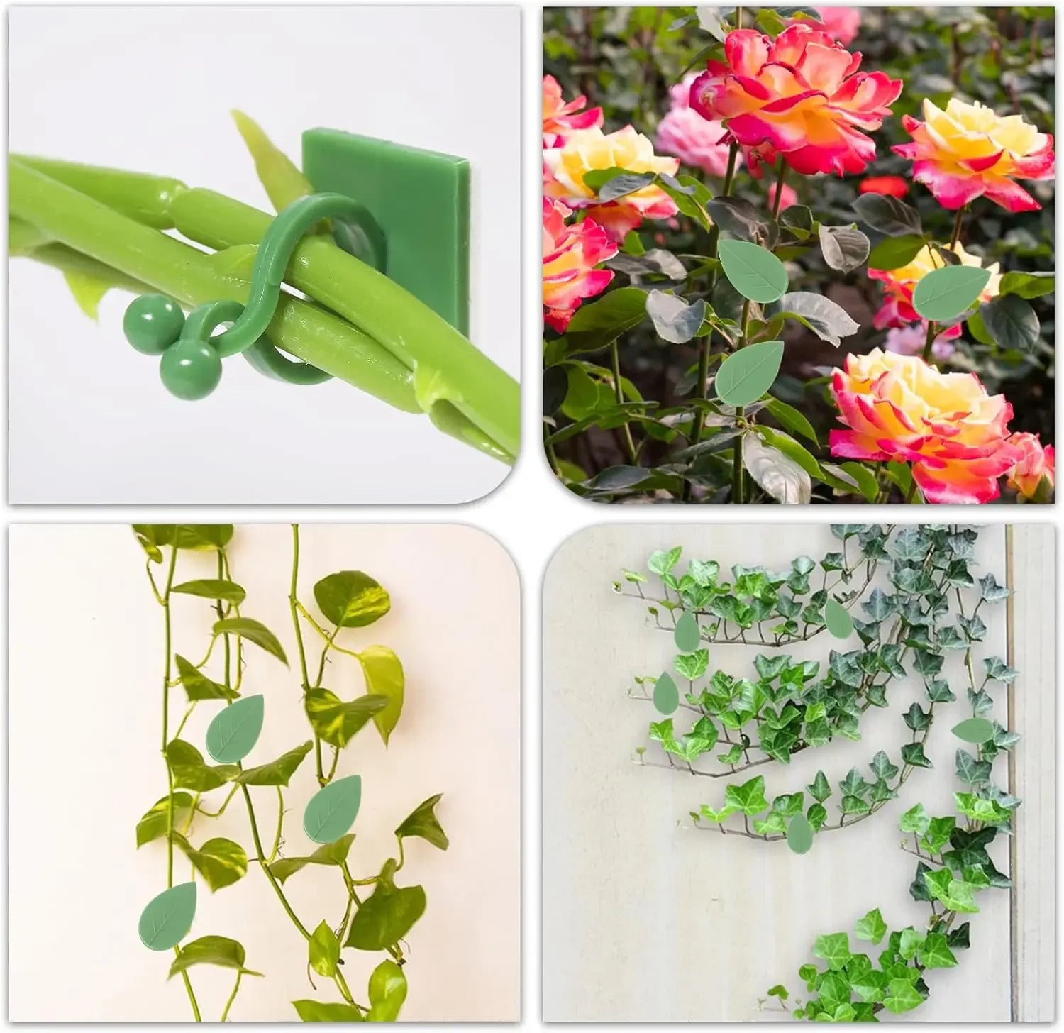 Plant Vine Support Clips