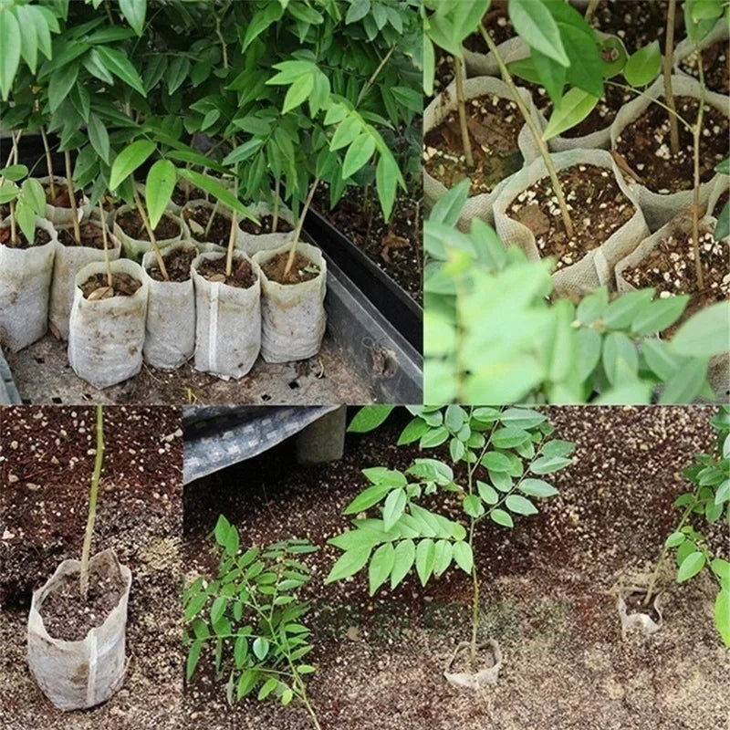 Biodegradable Nursery Grow Bags