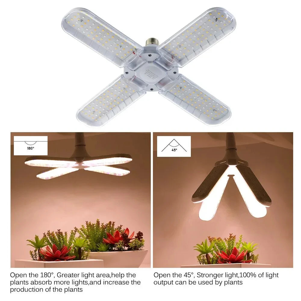 LED Seedling Grow Light