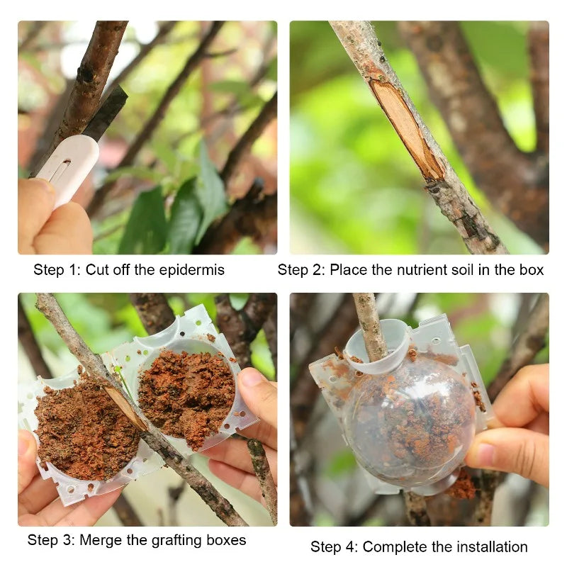 Plant Rooting Grow Balls