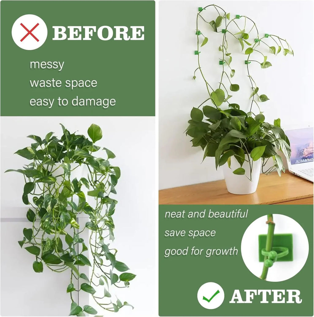Plant Vine Support Clips