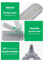 LED Seedling Grow Light