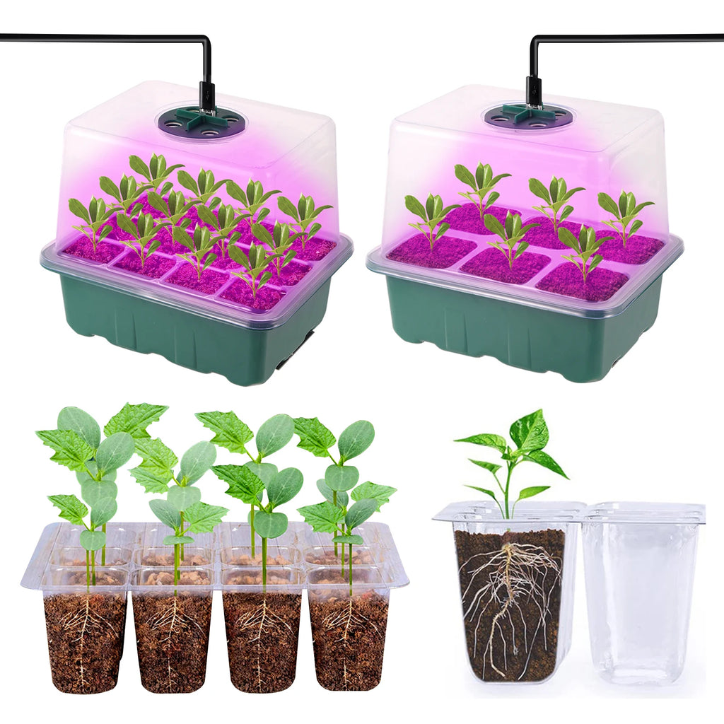 Seed Propagation Grow Light