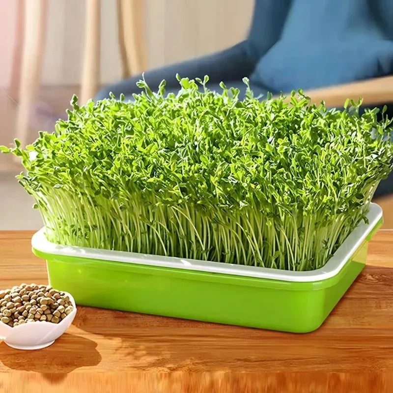 Microgreens Sprouting Tray Set