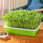 Microgreens Sprouting Tray Set