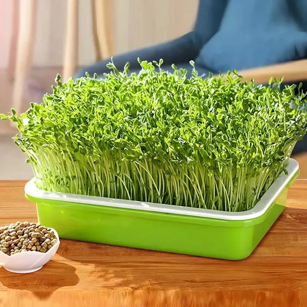 Microgreens Sprouting Tray Set