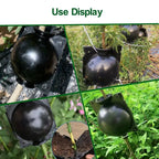 Plant Rooting Grow Balls