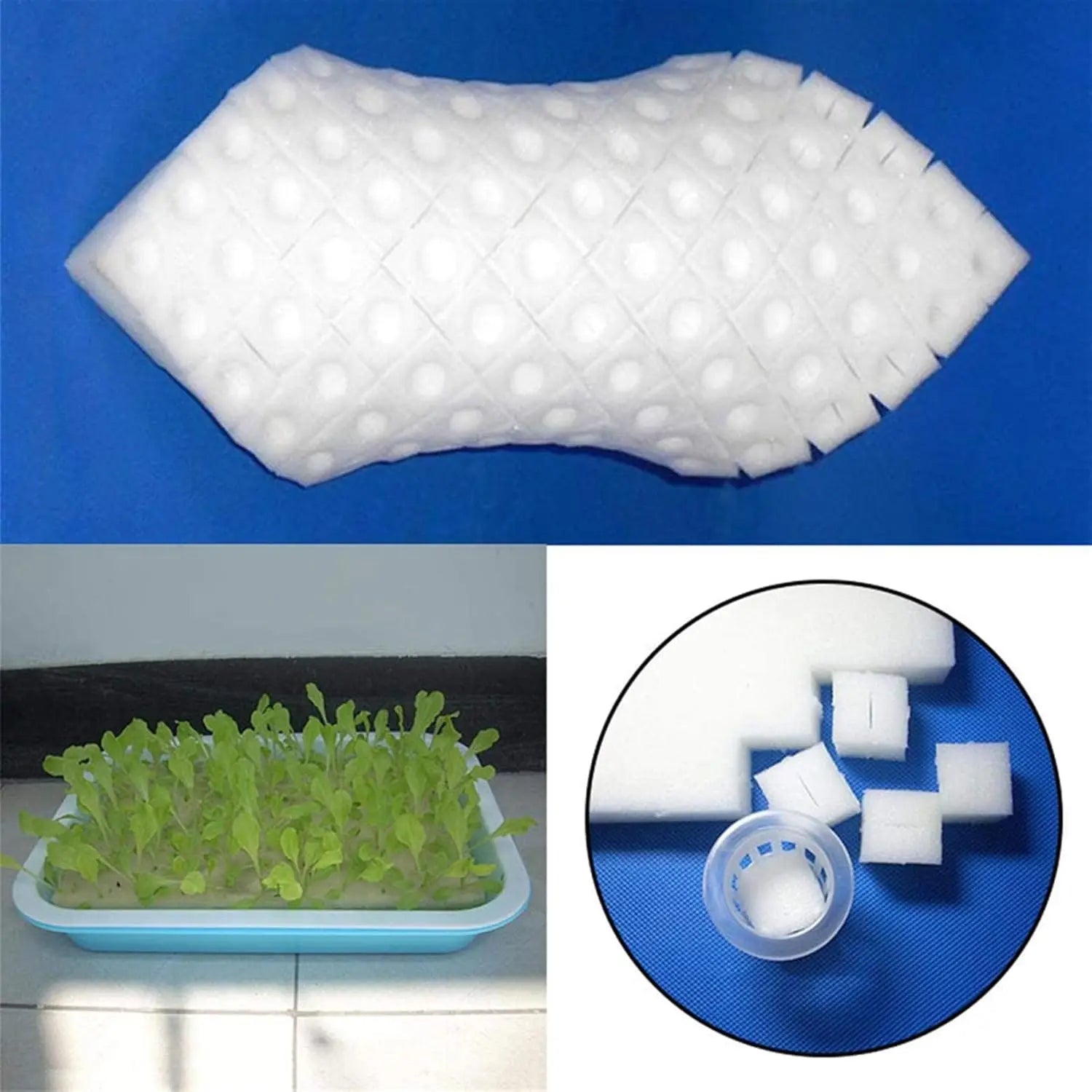 Hydroponic Grow Sponges Blocks